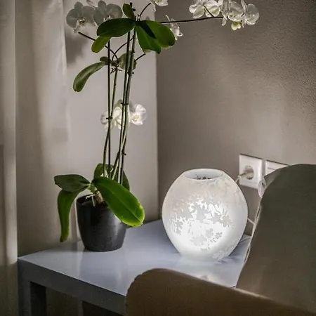 Appartement The Beetle House